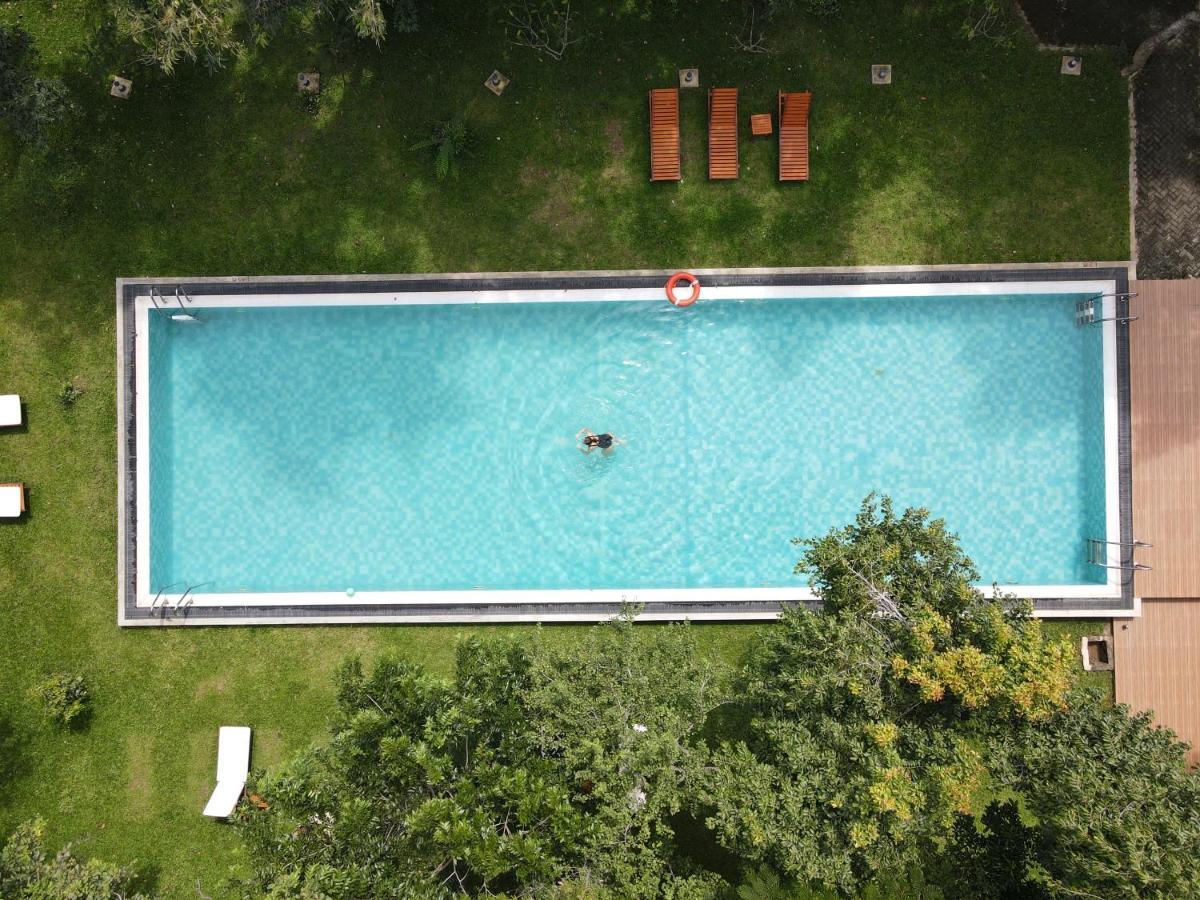 Nivadoo Resort Sigirîya Extérieur photo Aerial view of a swimming pool